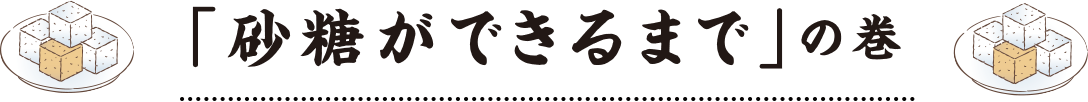 「砂糖ができるまで」の巻