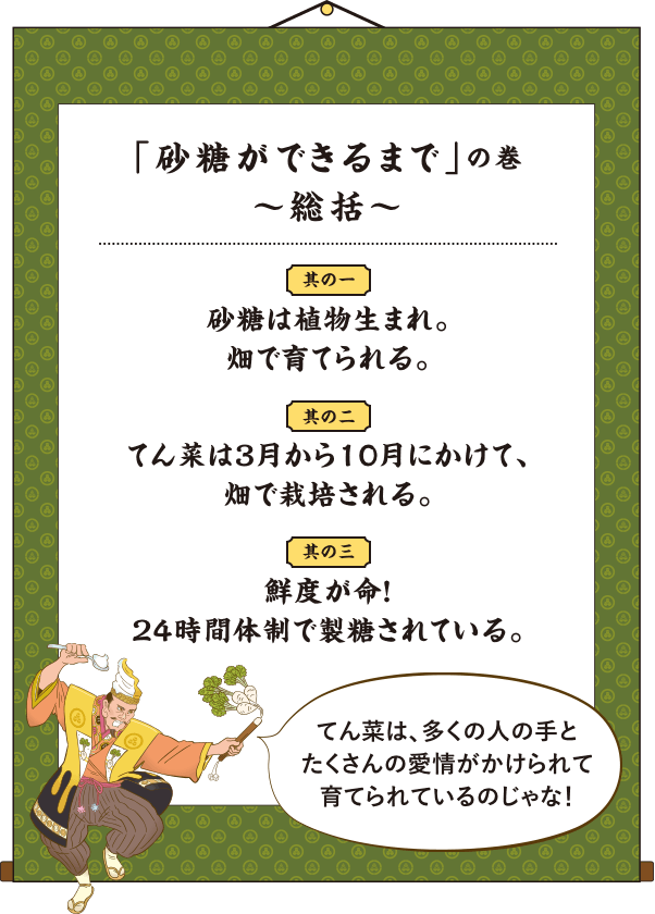 「砂糖ができるまで」の巻 〜総括〜 其の一 砂糖は植物生まれ。畑で育てられる。 其の二 てん菜は3月から10月にかけて、畑で栽培される。 其の三 鮮度が命！２４時間体制で製糖されている。 てん菜は、多くの人の手とたくさんの愛情がかけられて育てられているのじゃな！