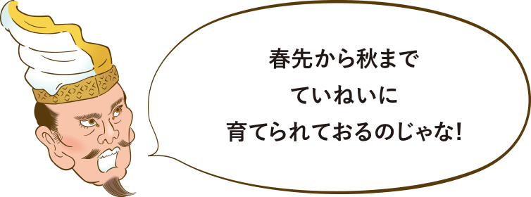 春先から秋までていねいに育てられておるのじゃな!