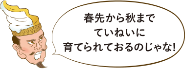 春先から秋までていねいに育てられておるのじゃな!