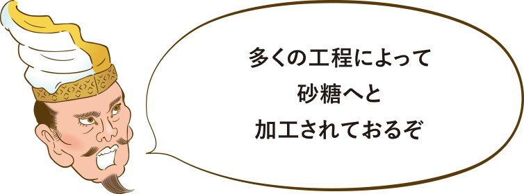 多くの工程によって砂糖へと加工されておるぞ