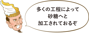 多くの工程によって砂糖へと加工されておるぞ