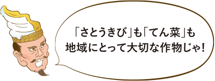 「さとうきび」も「てん菜」も地域にとって大切な作物じゃ!